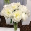 Doftpion   "Duchesse de Nemours" - Bild 4