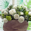 Ranunculus Asiaticus "Aviv" "Vit"  (15 torkade lökar) - Bild 2